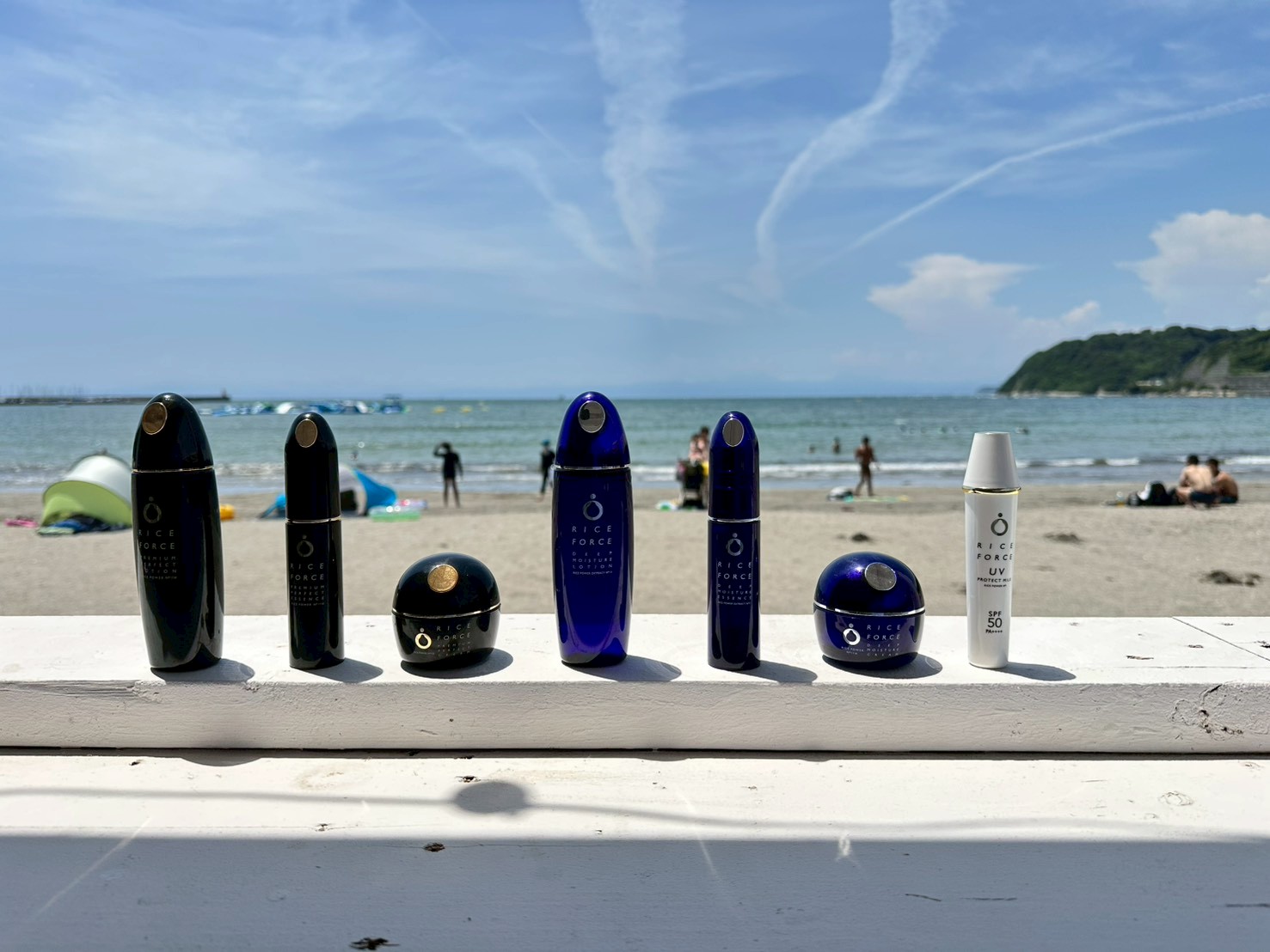 ライスフォース×海